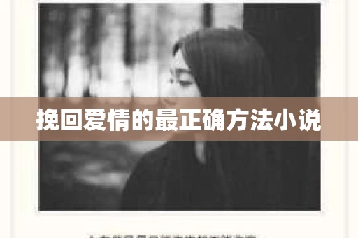 挽回爱情的最正确方法小说