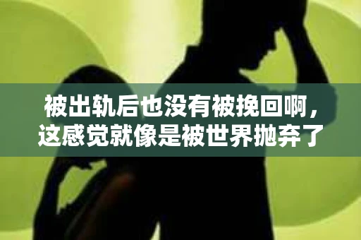 被出轨后也没有被挽回啊，这感觉就像是被世界抛弃了一样。我曾经也经历过这样的事情，那种心如刀割的痛，至今仍记忆犹新。今天，我想和大家聊聊这个话题，希望能给那些正在经历或者曾经经历过类似痛苦的人一些安慰和帮助。