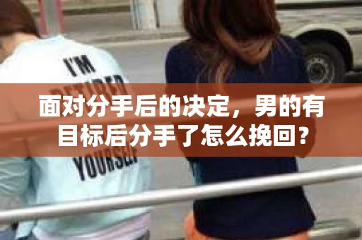 面对分手后的决定,男的有目标后分手了怎么挽回? 面对分手后的决定,男的有目标后分手了怎么挽回?