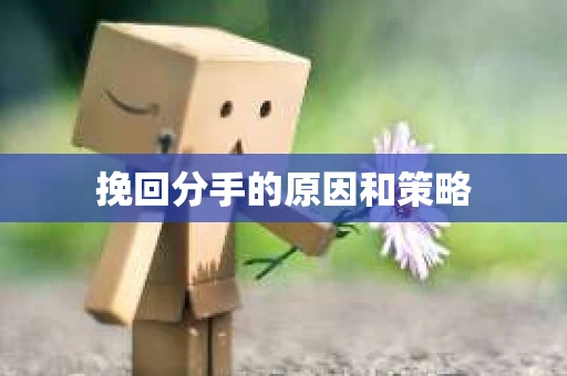 挽回分手的原因和策略
