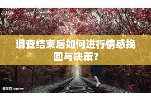 调查结束后如何进行情感挽回与决策？