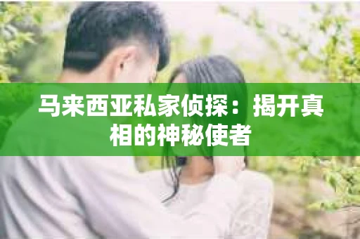 马来西亚私家侦探：揭开真相的神秘使者