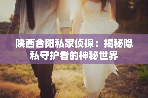 陕西合阳私家侦探：揭秘隐私守护者的神秘世界