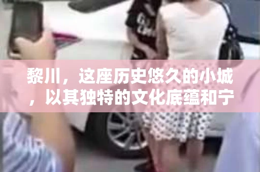 黎川，这座历史悠久的小城，以其独特的文化底蕴和宁静的生活节奏吸引着无数游客。然而，在这样一个看似平静的城市里，你是否会好奇，有没有私家侦探机构的存在呢？今天，就让我带你一探究竟。