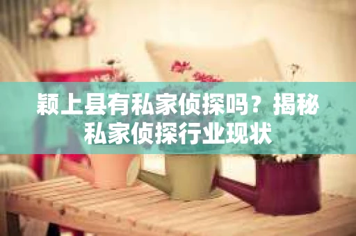 颖上县有私家侦探吗？揭秘私家侦探行业现状