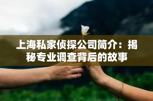 上海私家侦探公司简介：揭秘专业调查背后的故事