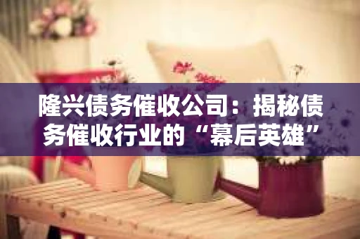 隆兴债务催收公司：揭秘债务催收行业的“幕后英雄”