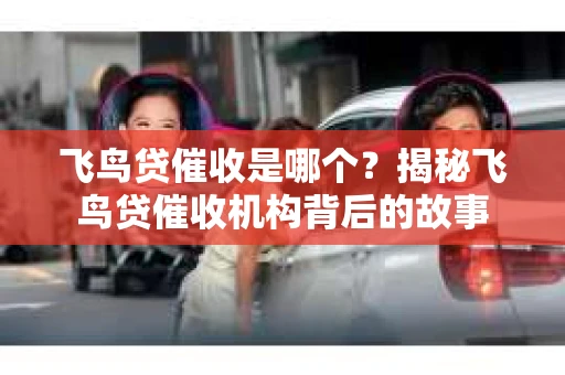 飞鸟贷催收是哪个？揭秘飞鸟贷催收机构背后的故事