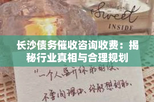 长沙债务催收咨询收费：揭秘行业真相与合理规划