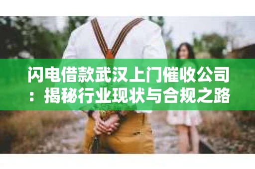 闪电借款武汉上门催收公司：揭秘行业现状与合规之路