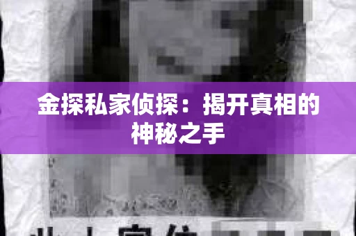 金探私家侦探：揭开真相的神秘之手