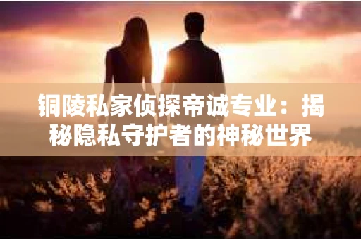 铜陵私家侦探帝诚专业：揭秘隐私守护者的神秘世界
