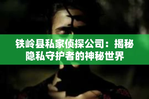 铁岭县私家侦探公司：揭秘隐私守护者的神秘世界