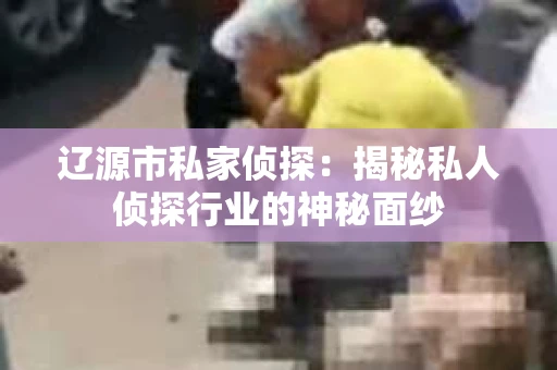 辽源市私家侦探：揭秘私人侦探行业的神秘面纱
