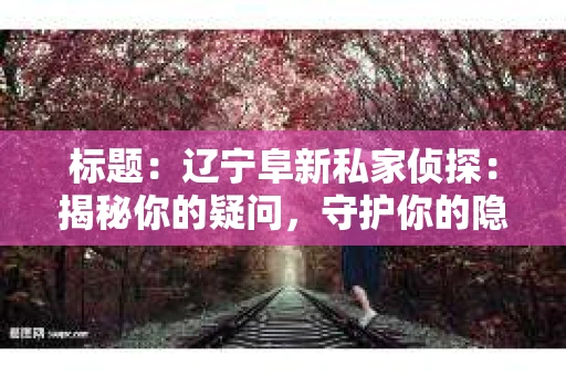 标题：辽宁阜新私家侦探：揭秘你的疑问，守护你的隐私