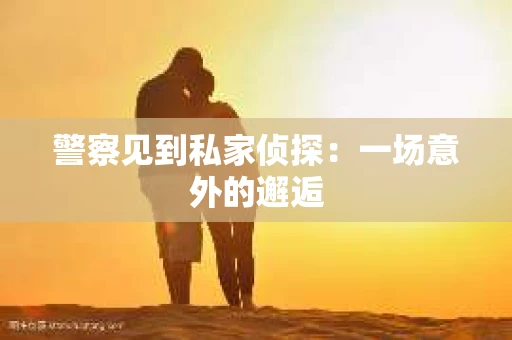 警察见到私家侦探：一场意外的邂逅