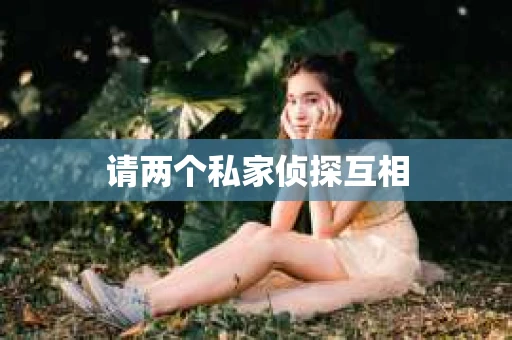 请两个私家侦探互相