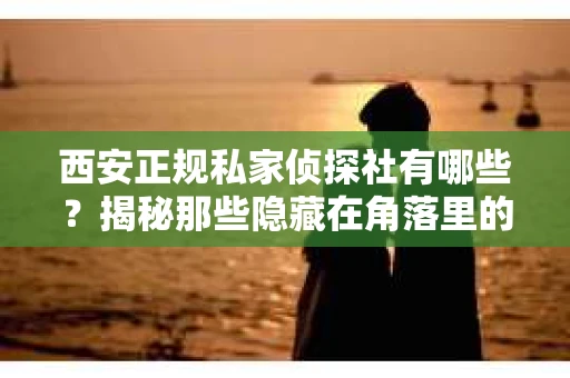 西安正规私家侦探社有哪些？揭秘那些隐藏在角落里的神秘力量