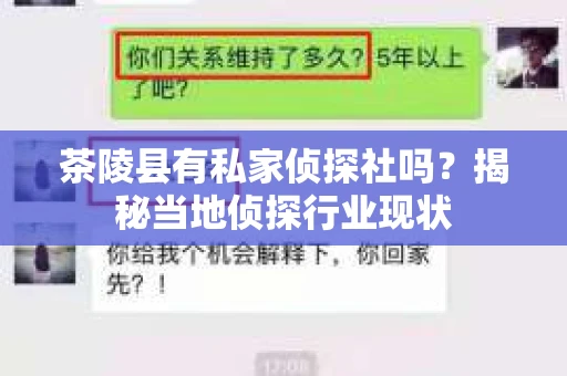 茶陵县有私家侦探社吗？揭秘当地侦探行业现状