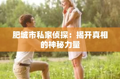 肥城市私家侦探：揭开真相的神秘力量