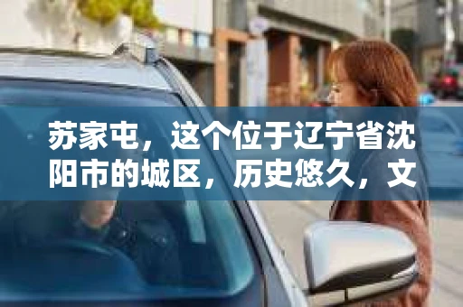 苏家屯，这个位于辽宁省沈阳市的城区，历史悠久，文化底蕴深厚。近年来，随着社会的发展，人们对于私家侦探的需求也逐渐增加。那么，苏家屯有私家侦探吗？今天，我们就来聊聊这个话题。