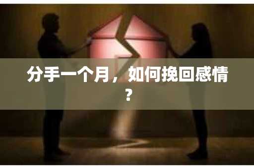 分手一个月,如何挽回感情? 分手一个月,如何挽回感情?