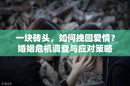 一块砖头，如何挽回爱情？婚姻危机调查与应对策略