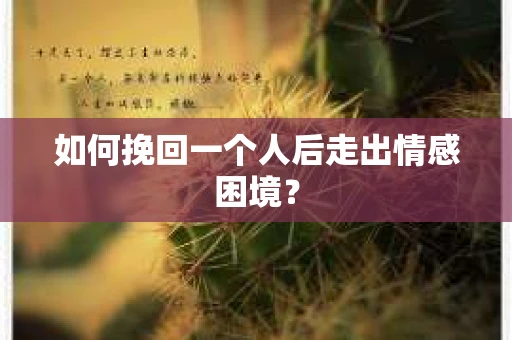 如何挽回一个人后走出情感困境？